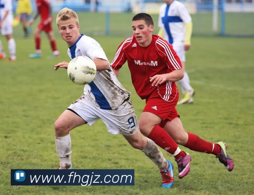 凤凰娱乐全站App